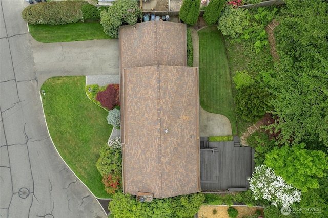 drone / aerial view
