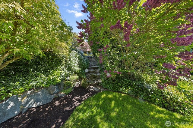 301 S 6th St, Mount Vernon, WA 98274 - view of yard