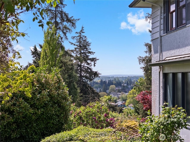 301 S 6th St, Mount Vernon, WA 98274 - view of yard