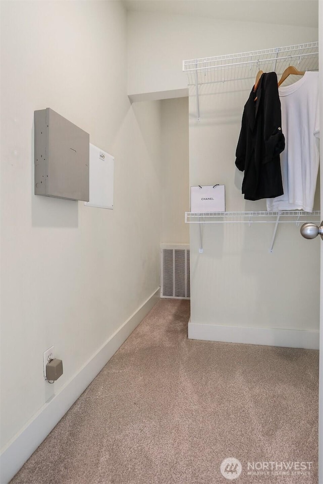 walk in closet featuring carpet