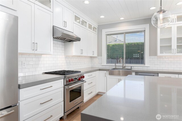 kitchen with appliances with stainless steel finishes, a sink, under cabinet range hood, recessed lighting, and wood finished floors
