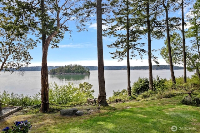 water view