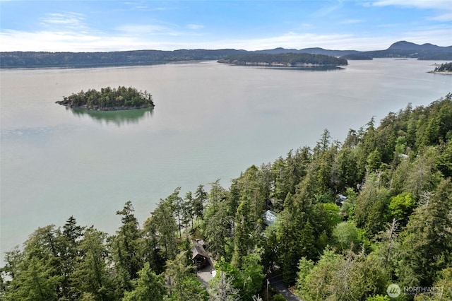 water view featuring a mountainous background