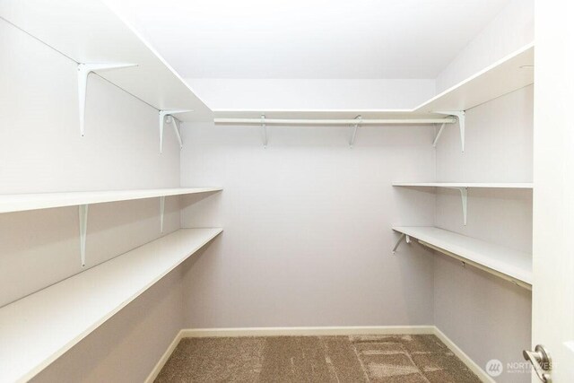 189 Hill Rd, Walla Walla, WA 99362 - walk in closet with carpet