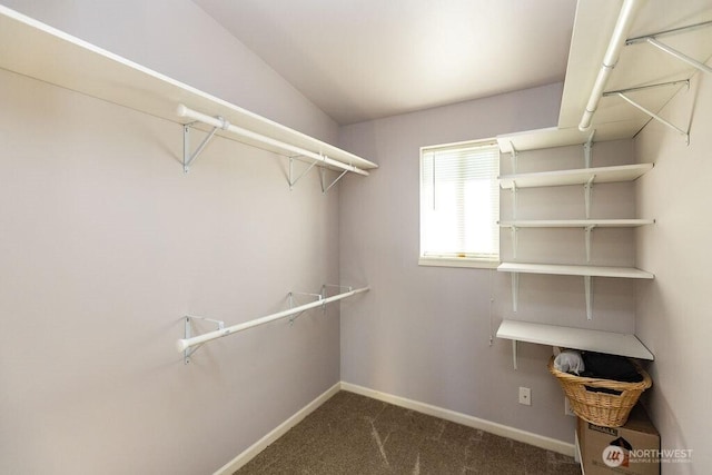 189 Hill Rd, Walla Walla, WA 99362 - spacious closet featuring carpet flooring