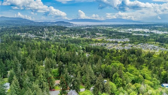 aerial overview of property's location featuring a mountain backdrop, a forest, and property parcel outlined