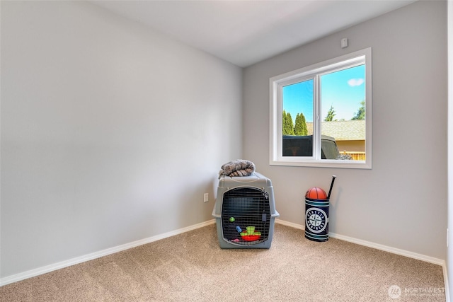 20121 3rd Ave NW, Arlington, WA 98223 - miscellaneous room with carpet flooring and baseboards