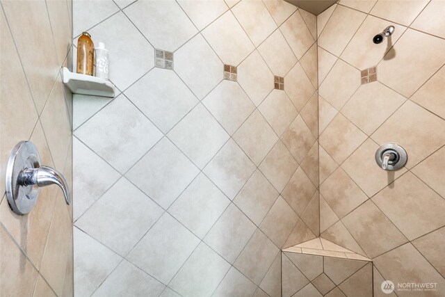 20121 3rd Ave NW, Arlington, WA 98223 - bathroom view of tiled shower