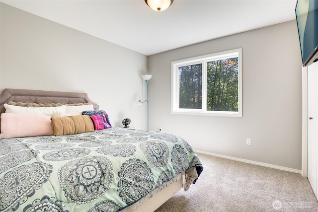 20121 3rd Ave NW, Arlington, WA 98223 - carpeted bedroom with baseboards