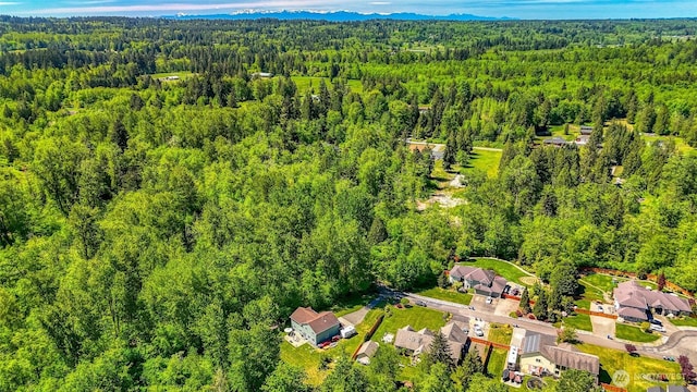 20121 3rd Ave NW, Arlington, WA 98223 - aerial view of a forest