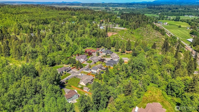 20121 3rd Ave NW, Arlington, WA 98223 - aerial view of a heavily wooded area and a mountain backdrop