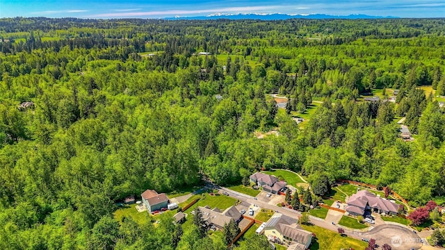 20121 3rd Ave NW, Arlington, WA 98223 - aerial view of property's location with a forest