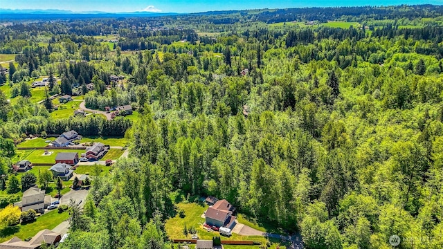20121 3rd Ave NW, Arlington, WA 98223 - bird's eye view of a heavily wooded area