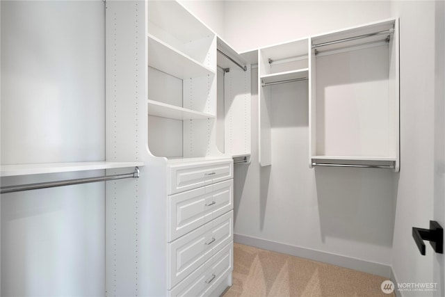 walk in closet with light carpet