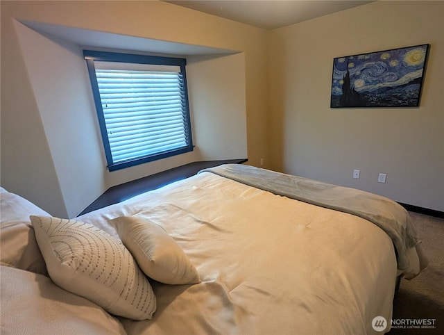 3447 Barry Pl, Mount Vernon, WA 98274 - bedroom featuring carpet floors