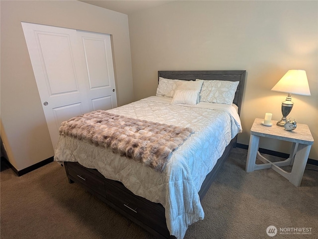 3447 Barry Pl, Mount Vernon, WA 98274 - bedroom with carpet, a closet, and baseboards