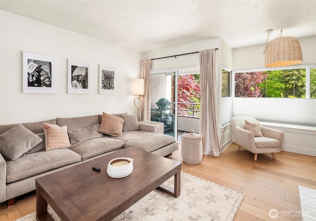 5801 Phinney Ave N Unit 103, Seattle, WA 98103 - living area with light wood-style flooring, plenty of natural light, and a textured ceiling