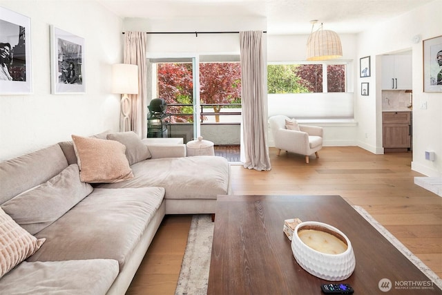 5801 Phinney Ave N Unit 103, Seattle, WA 98103 - living room with hardwood / wood-style flooring and baseboards