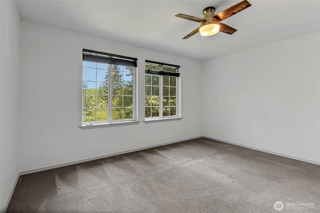 4440 Governor Ln SE, Olympia, WA 98501 - photo 15