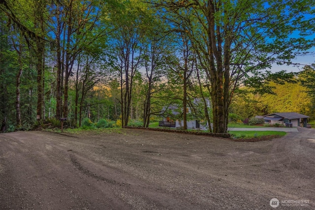 view of dirt / gravel road featuring a forest view