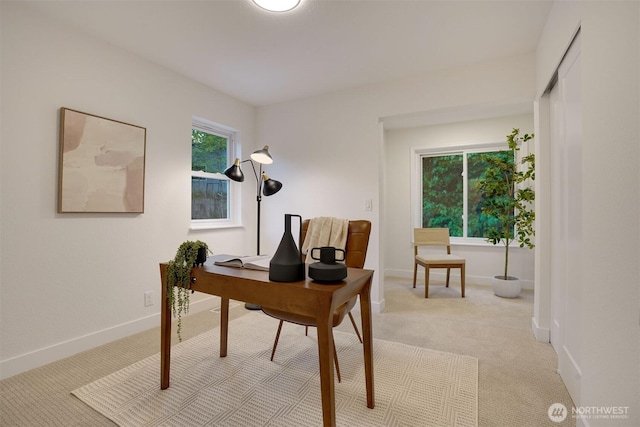office space with light carpet and baseboards