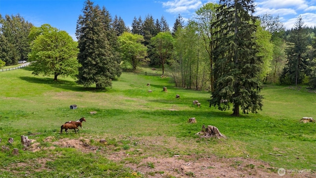 21803 NE Abernathy Rd, Yacolt, WA 98675 - view of community featuring a view of rural / pastoral area and a lawn