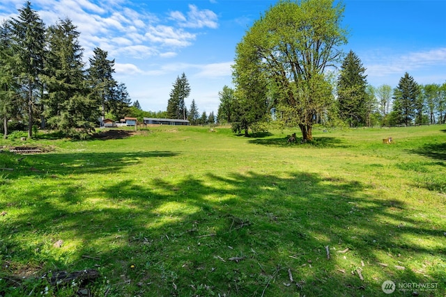 21803 NE Abernathy Rd, Yacolt, WA 98675 - view of grassy yard