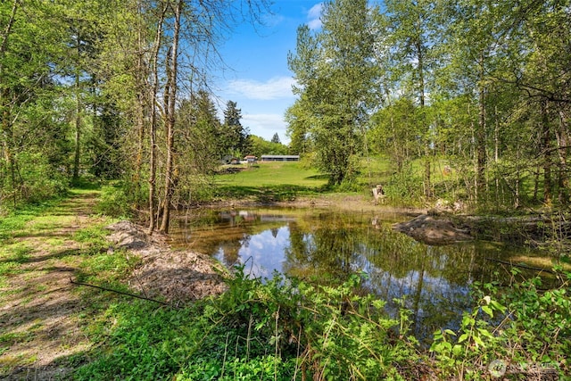 21803 NE Abernathy Rd, Yacolt, WA 98675 - water view