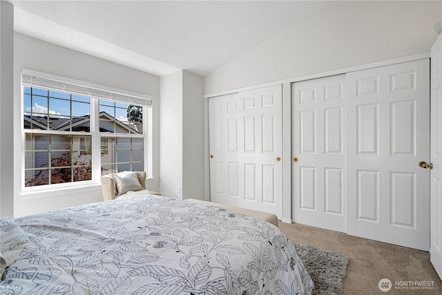 carpeted bedroom featuring a closet and lofted ceiling