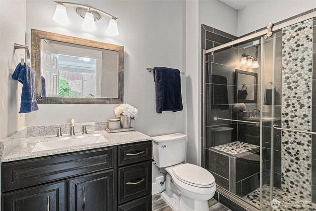 bathroom with toilet, a shower stall, and vanity