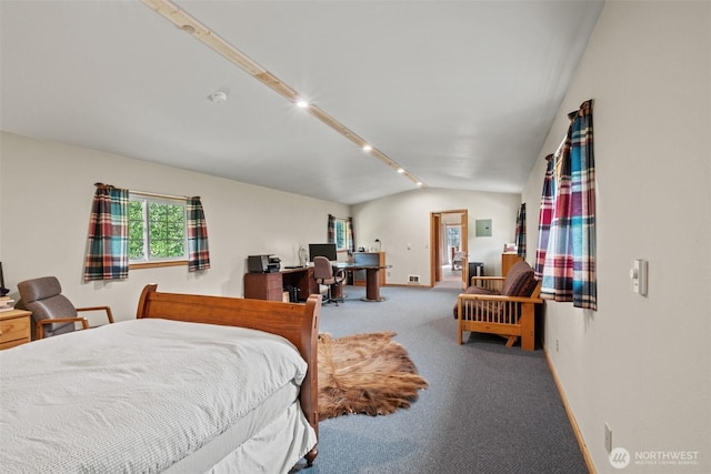 111 Connon Canyon Rd, Leavenworth, WA 98826 - bedroom with carpet flooring, a desk, baseboards, vaulted ceiling, and track lighting