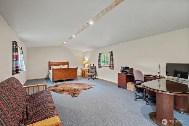 111 Connon Canyon Rd, Leavenworth, WA 98826 - bedroom featuring lofted ceiling, carpet, a desk, and baseboards