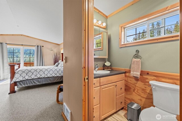 111 Connon Canyon Rd, Leavenworth, WA 98826 - ensuite bathroom with lofted ceiling, toilet, vanity, and crown molding