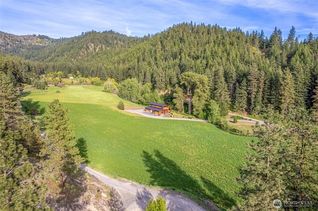 111 Connon Canyon Rd, Leavenworth, WA 98826 - drone / aerial view of a heavily wooded area and a mountain backdrop