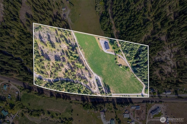 111 Connon Canyon Rd, Leavenworth, WA 98826 - view of property location featuring property parcel outlined