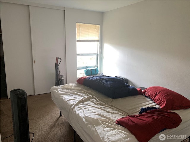carpeted bedroom featuring a closet