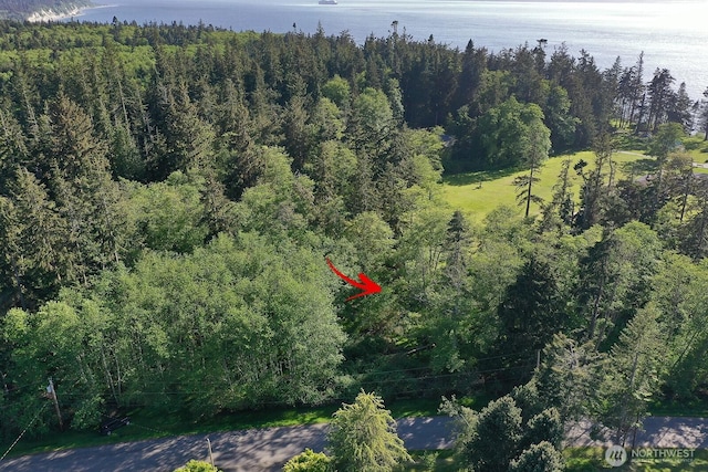 364 Gramayre Rd, Coupeville, WA 98239