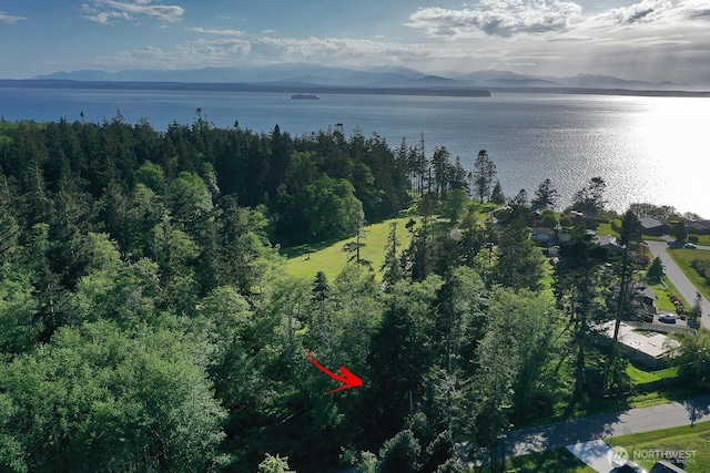 364 Gramayre Rd, Coupeville, WA 98239