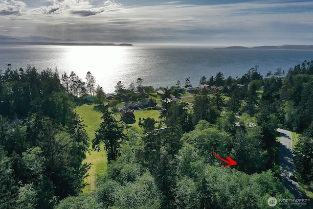 364 Gramayre Rd, Coupeville, WA 98239