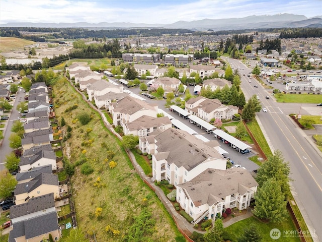 10109 186th St E Unit 249, Puyallup, WA 98371 - aerial view of residential area with mountains