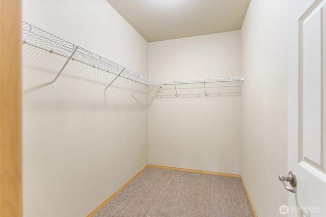 10109 186th St E Unit 249, Puyallup, WA 98371 - walk in closet with carpet floors