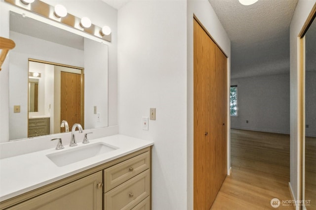 bathroom featuring wood finished floors and vanity