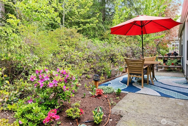 view of patio / terrace featuring outdoor dining space