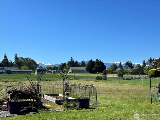 view of yard featuring a vegetable garden