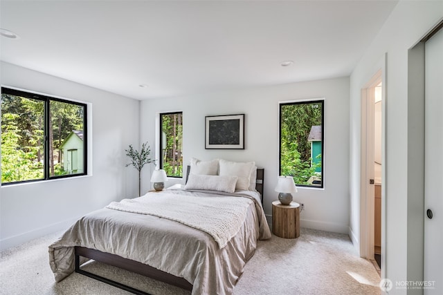 22513 Clearland Ln SE, Yelm, WA 98597 - carpeted bedroom featuring multiple windows and baseboards