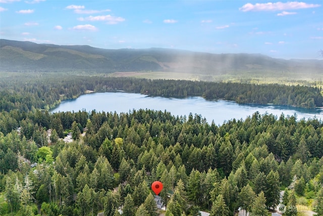 22513 Clearland Ln SE, Yelm, WA 98597 - aerial view of a forest and a water and mountain view