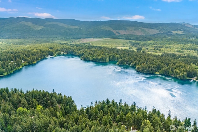 22513 Clearland Ln SE, Yelm, WA 98597 - bird's eye view of a forest and a water and mountain view
