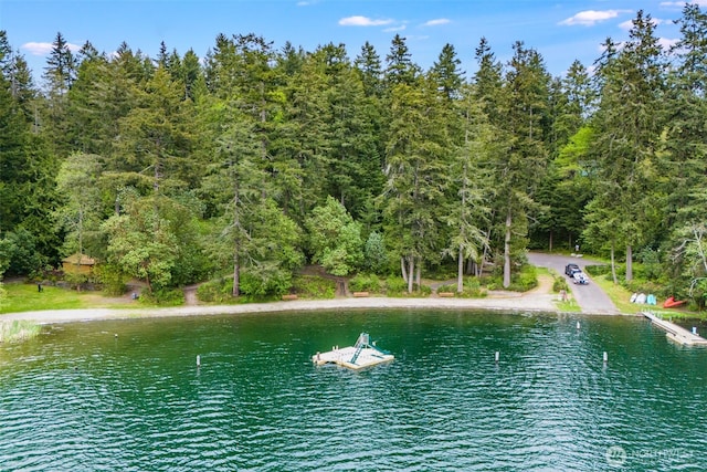22513 Clearland Ln SE, Yelm, WA 98597 - water view with a heavily wooded area