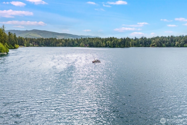 22513 Clearland Ln SE, Yelm, WA 98597 - water view with a forest
