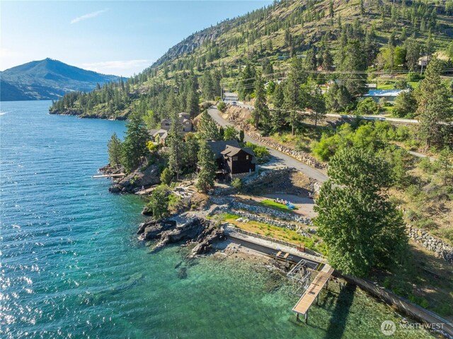 19600 S Lakeshore Rd, Chelan, WA 98816 - photo 1